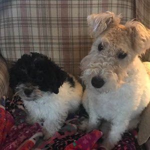 Meet your Posher, Janet